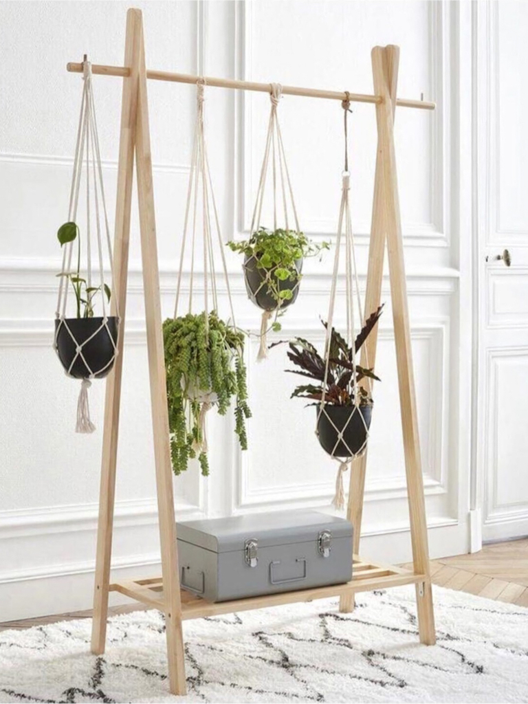 🪴 Comment arroser les plantes en suspension ? 🌿 Astuces plantes  d'intérieur 
