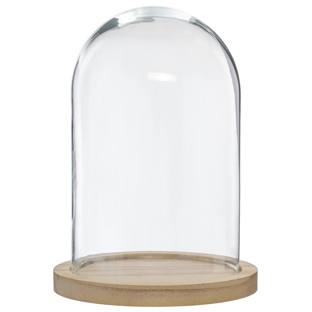 cloche en verre sur socle en bois