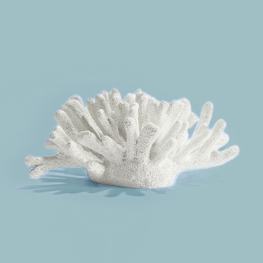 décoration en forme de corail blanc