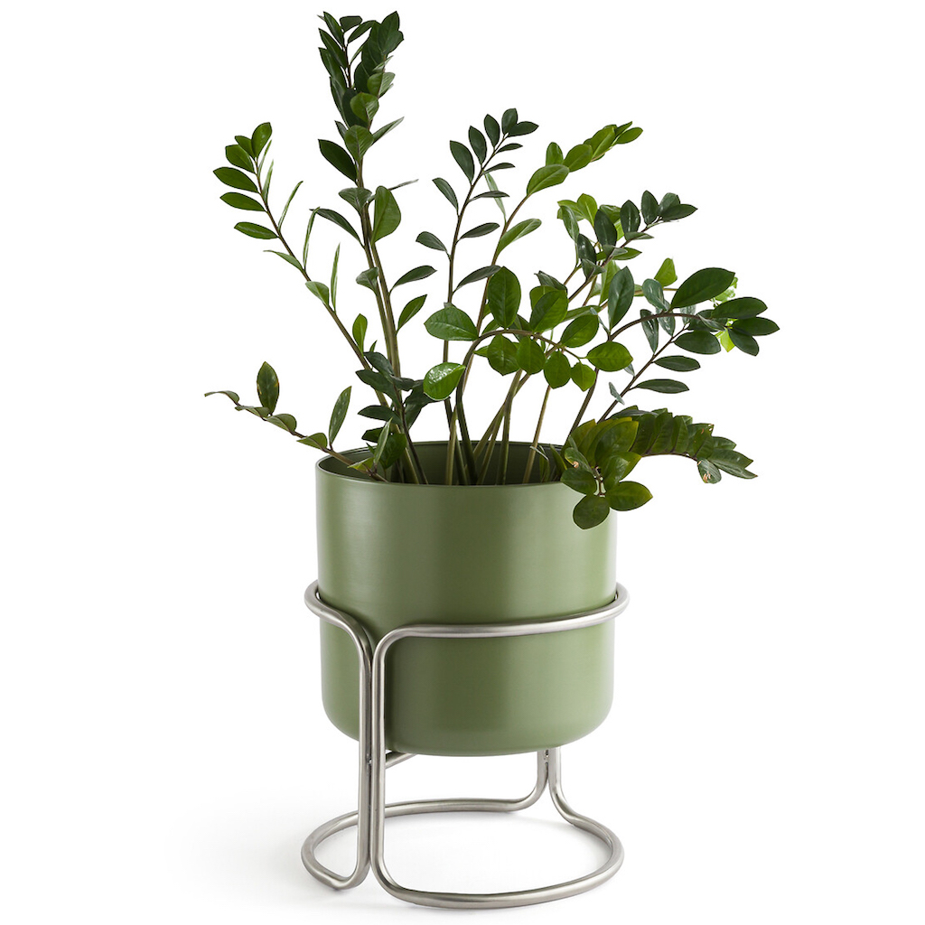 cache-pot design vert olive